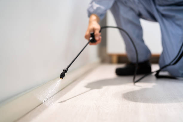 Licensed Pest Control service in East Aurora, NY - Show Me Pest Control